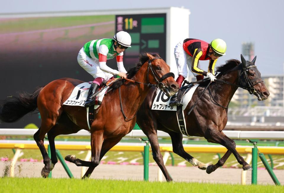 日本ダービー 山本昌氏 ダービーオーナー に シャフリヤールに一口馬主で出資 競馬 レース デイリースポーツ Online