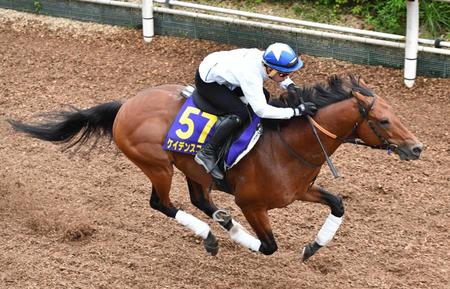 　岩田康を背に栗東坂路を豪快に駆け上がったケイデンスコール（撮影・佐々木彰尚）