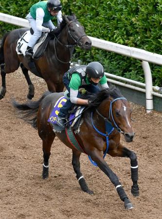 　併せ馬で力強く先着したインディチャンプ（手前）＝撮影・佐々木彰尚