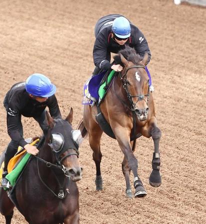 　気持ち良さそうに美浦坂路を駆けたグランアレグリア（右）＝撮影・園田高夫