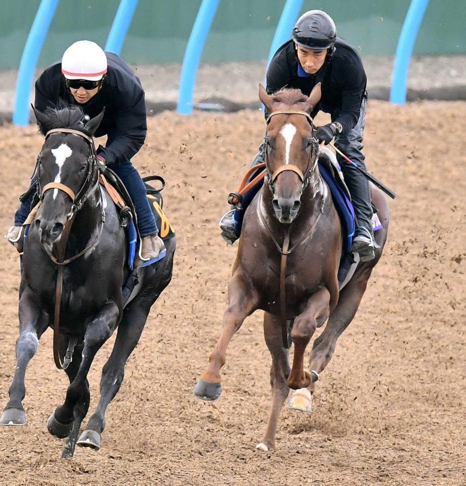 　軽快なフットワークで駆け抜けたサリオス（右）＝撮影・園田高夫