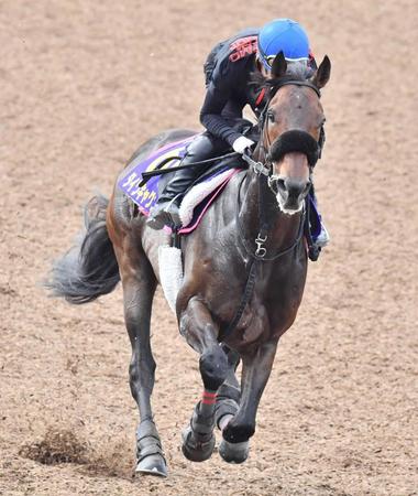 　得意の東京でダイワキャグニーが波乱を呼ぶ