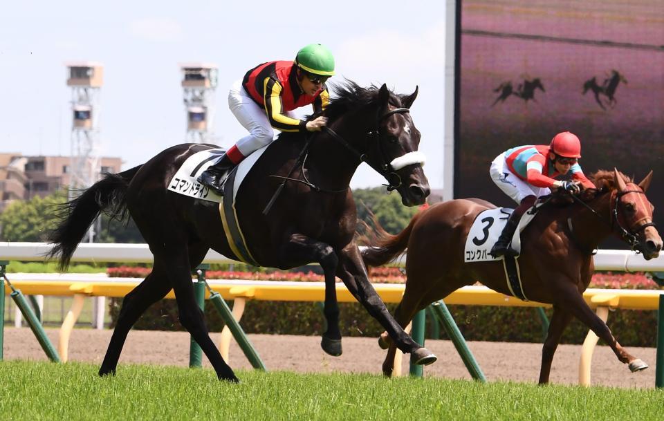 ５日の東京５Ｒは１番人気のコマンドラインが堂々の差し切り勝ち