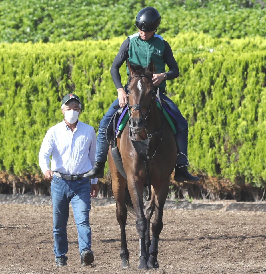 安田記念 展開から浮上するのはこの馬だ 競馬 レース デイリースポーツ Online