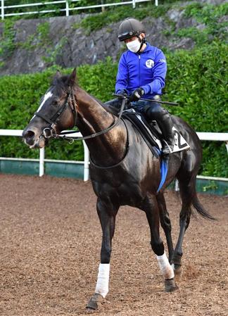 　軌道に乗った感のあるシュリ