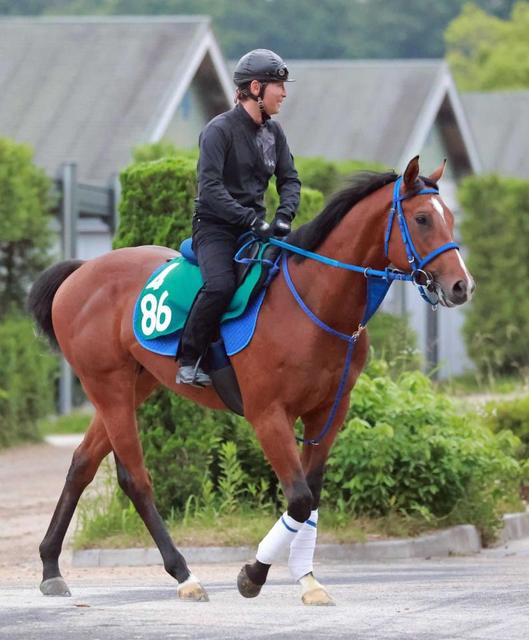 【ＰＯＧ】ショウナンマッハ快速ぶり見せる　ショウナンカンプ産駒史上最高額の素質馬