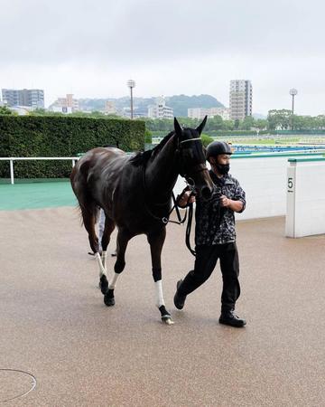 土曜小倉１０Ｒ戸畑特別を１分６秒４の好時計で逃げ切り、２２年ぶりに日本レコードを更新したプリモダルク＝小倉競馬場