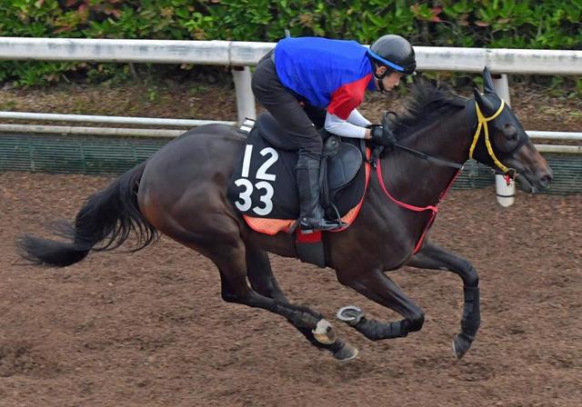 【小倉&福島の危険な人気馬】小倉11R ヨカヨカ