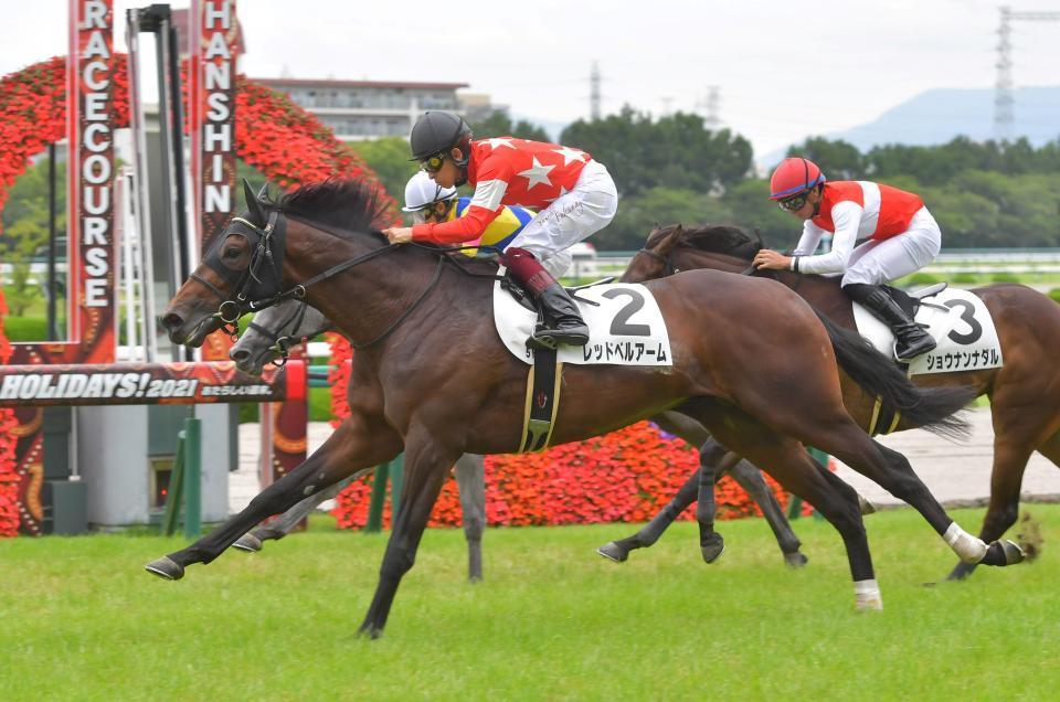 １番人気に応えてデビュー戦を制したレッドベルアーム＝阪神競馬場