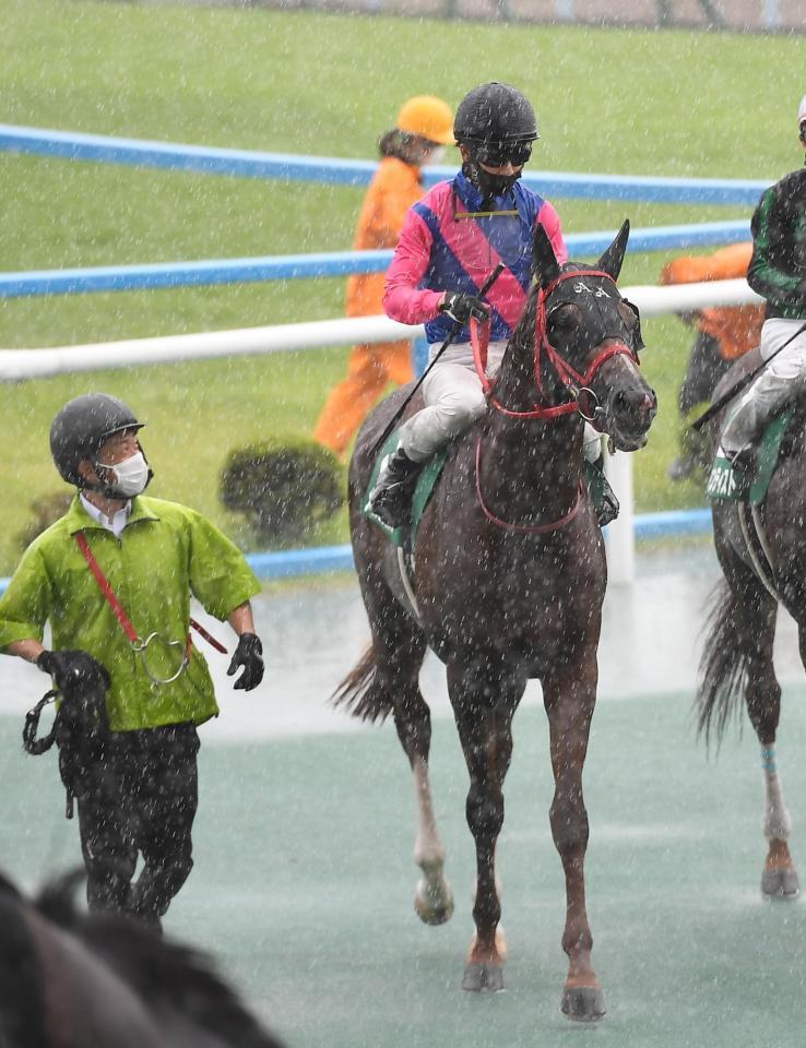 　１着でゴールしたメイショウカズサと松山弘平騎手