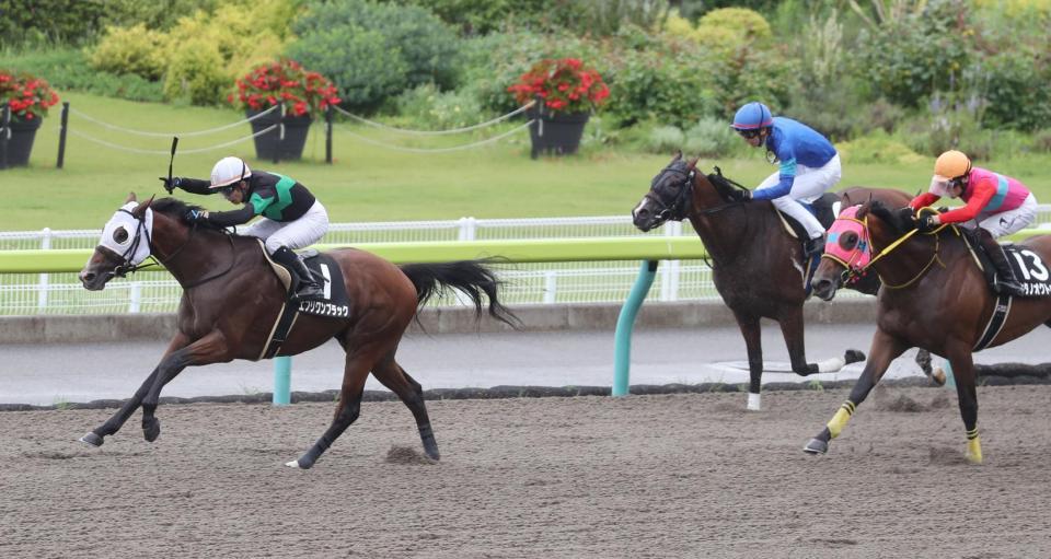 キタサンブラック全弟 エブリワンブラックがオープン入り 柴山はさらなる出世を期待 競馬 レース デイリースポーツ Online