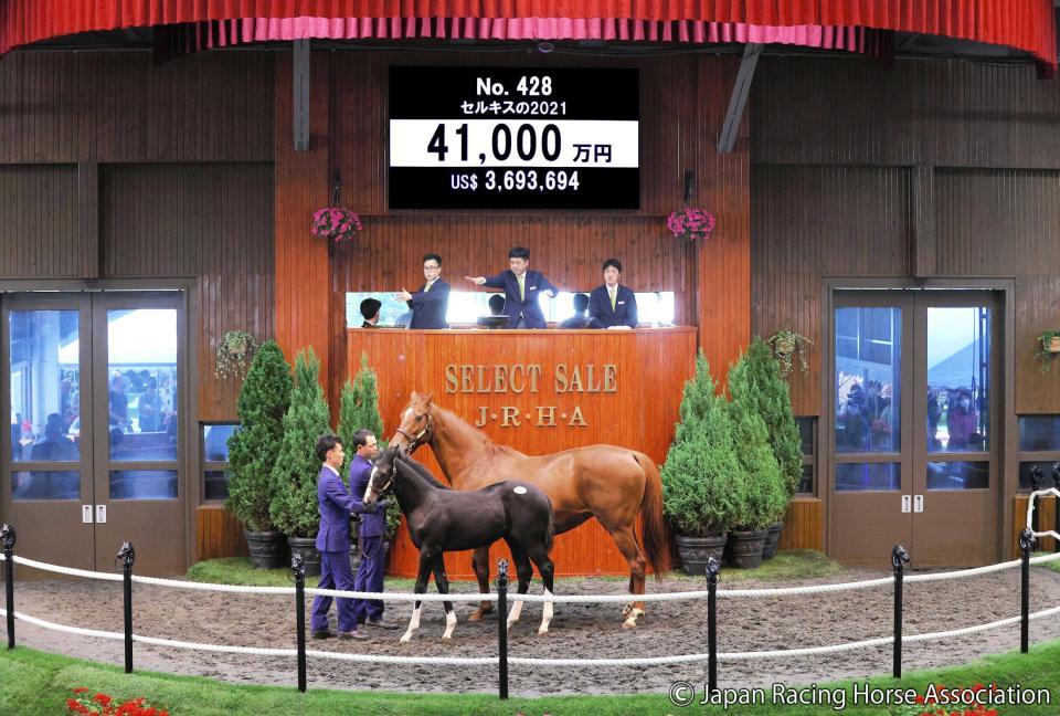 　２日目の最高落札額をマークした「セルキス２１」（Ｃ）ＪＲＨＡ
