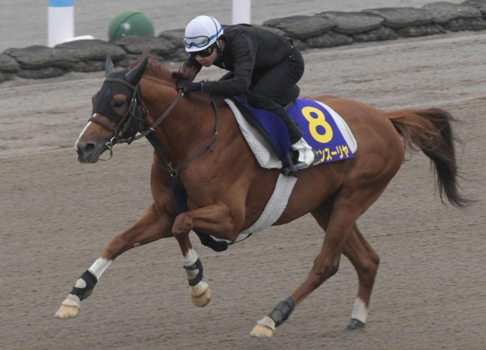 　好仕上がりをアピールしたトーセンスーリヤ