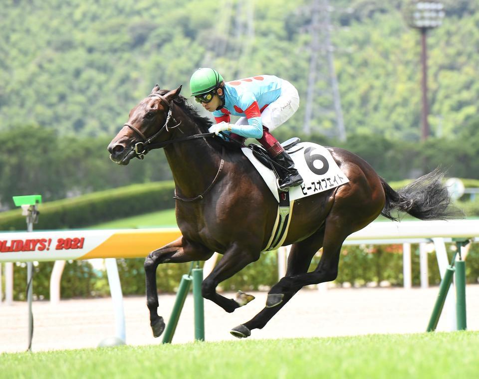 １１日の小倉新馬戦を制したピースオブエイト