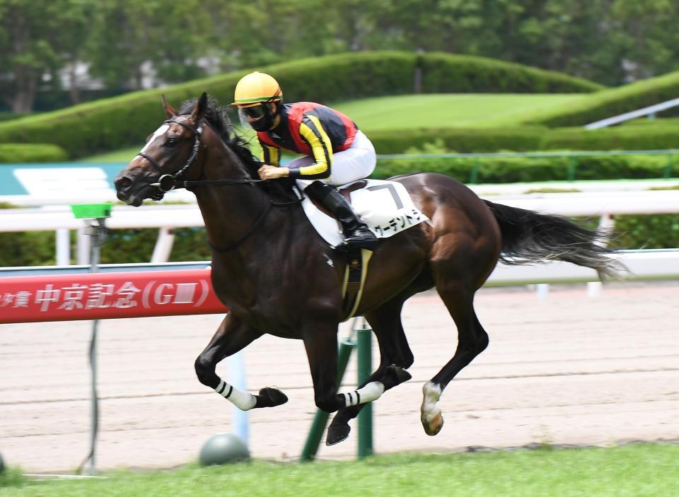 　１着でゴールするグーデンドラーク