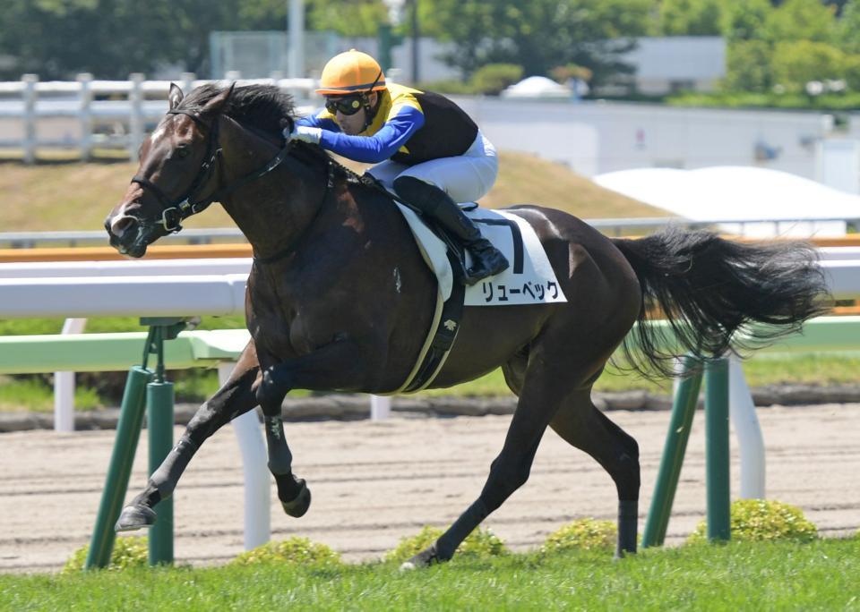 圧倒的人気に応えてデビュー戦を飾ったリューベック