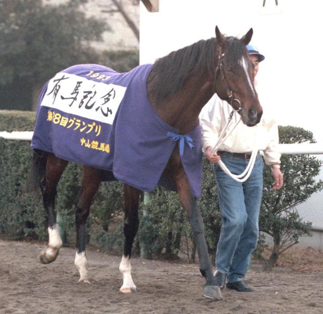 トウカイテイオー最後の産駒キセキノテイオーは最下位/競馬