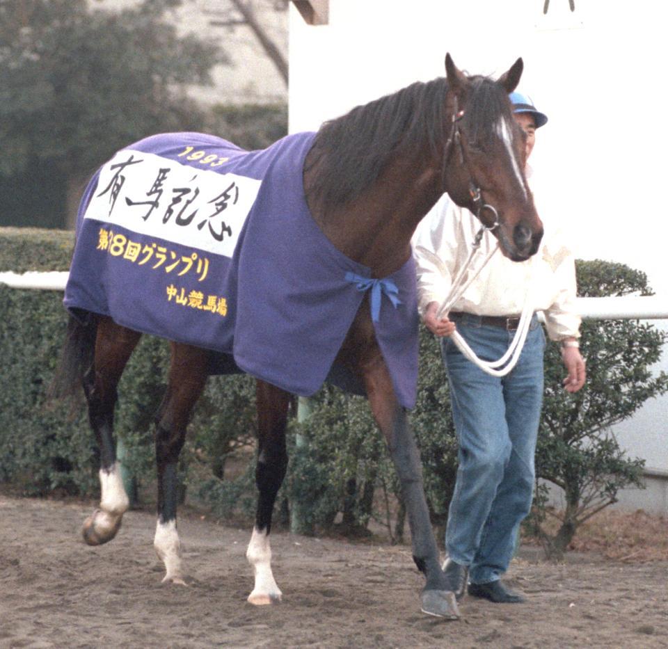 １９９３年の有馬記念で優勝したトウカイテイオー