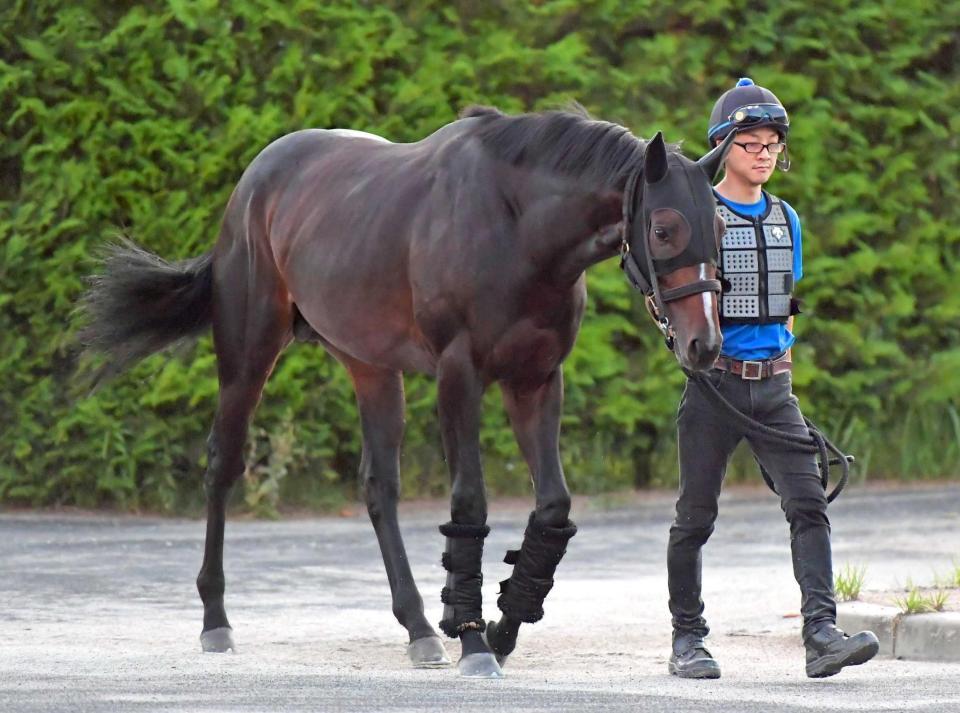 　早期から活躍が期待されるコンジャンクション（撮影・石湯恒介）