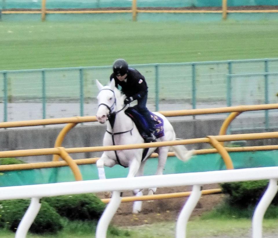 白毛のソダシが函館競馬場で馬場入り 競馬 レース デイリースポーツ Online