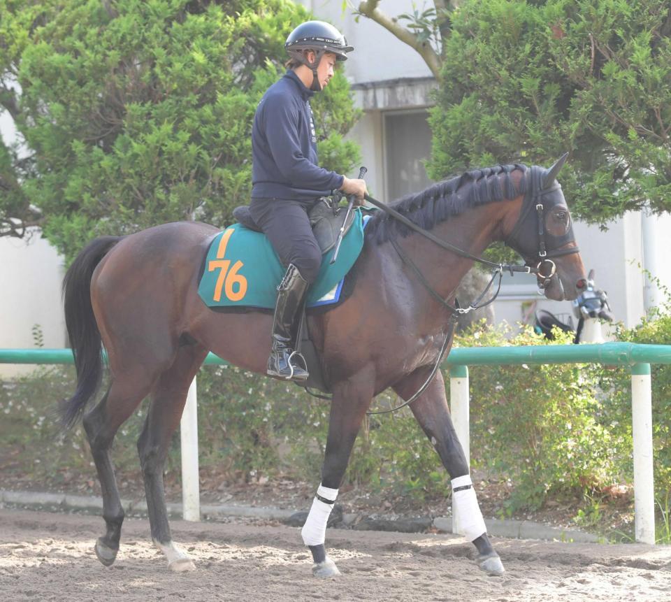 　態勢万全のラニュイエトワール