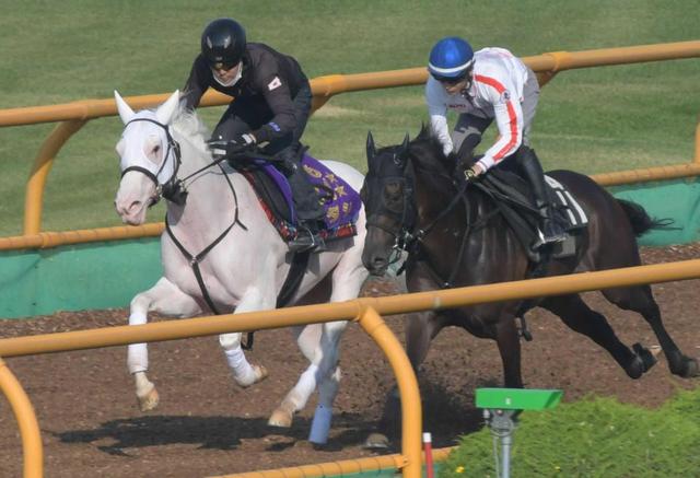 【札幌記念】ソダシはさすがの動き　３頭併せで６馬身先着　来週は吉田隼が騎乗