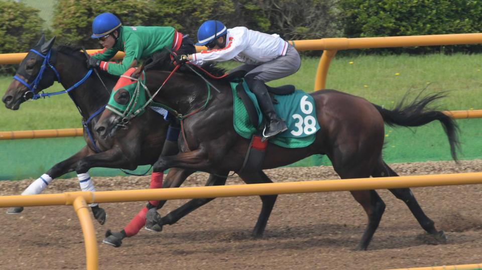 　函館Ｗで追い切られたテイエムケントオー（手前）