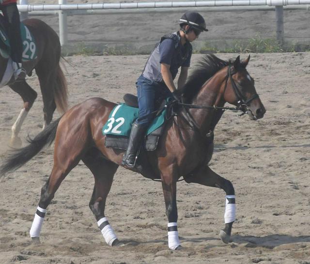 【POG】ポッドボレット 素質高く乗り味も上々 母は米G1馬のシーエスシルク