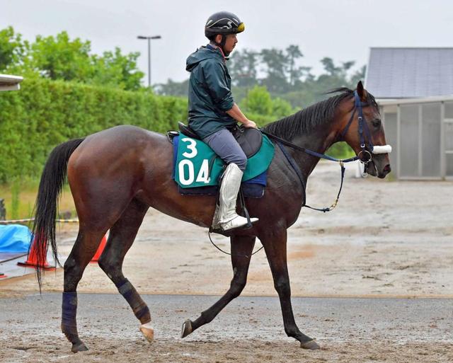 【POG】ヴァンルーラー 立て直され漂う好ムード 吉岡師は期待「コースも合いそう」