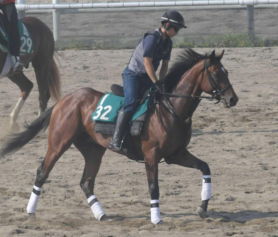 　血統的にも魅力のあるポッドボレット