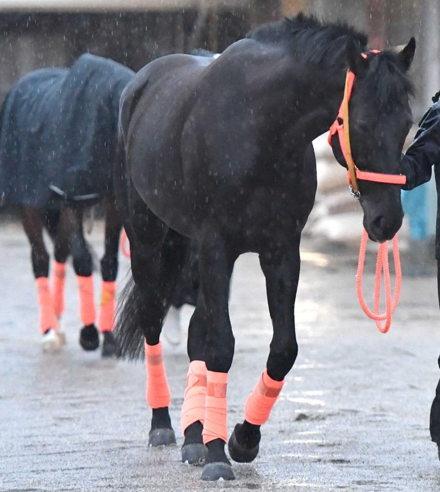 新潟 函館の危険な人気馬 新潟１１ｒ スマートクラージュ 競馬 レース デイリースポーツ Online