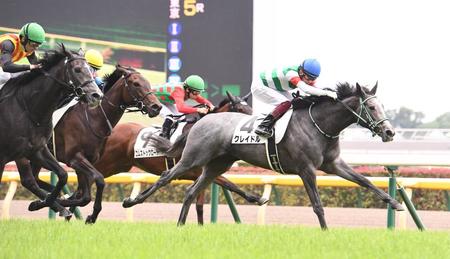 新潟２歳Ｓ参戦を表明したクレイドル