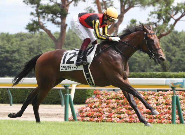 【POG】ステルナティーア完勝 福永が出世に太鼓判「満点」 全兄にマイルCS覇者