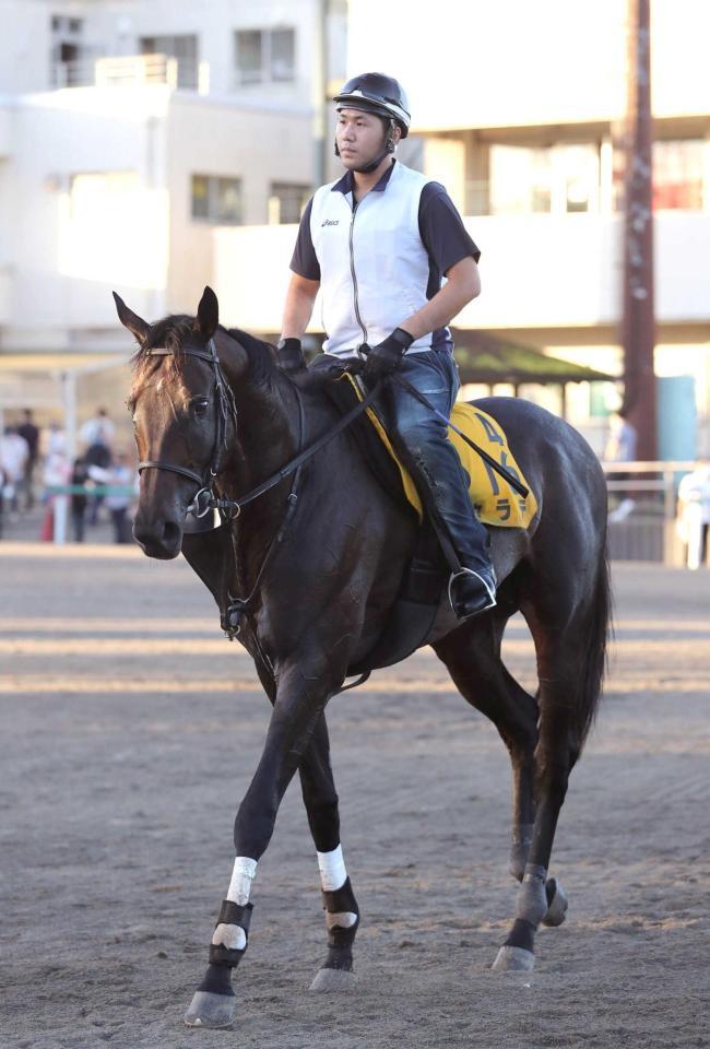 　気合の一本を狙うカラテ