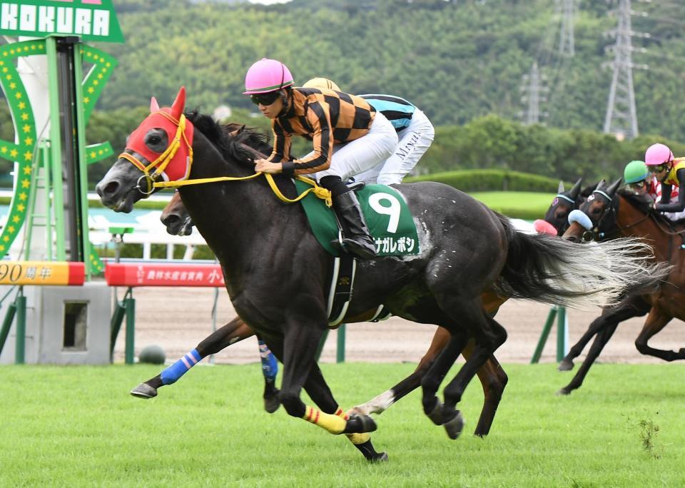 　１着でゴールするモズナガレボシ