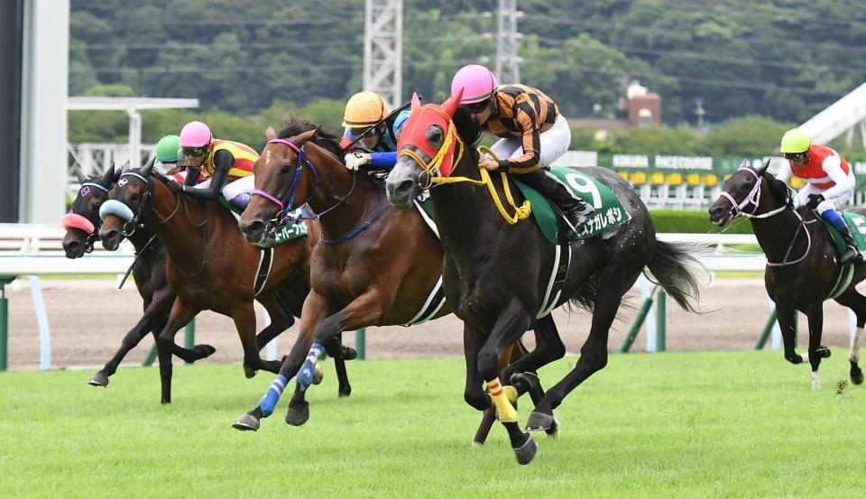 　１着でゴールするモズナガレボシ（９）