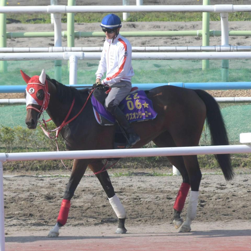 　順調な仕上がりを見せるラヴズオンリーユー