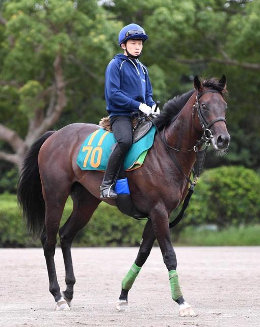 ｐｏｇ サンクション バネある走りで気性は新馬向き 競馬 レース デイリースポーツ Online