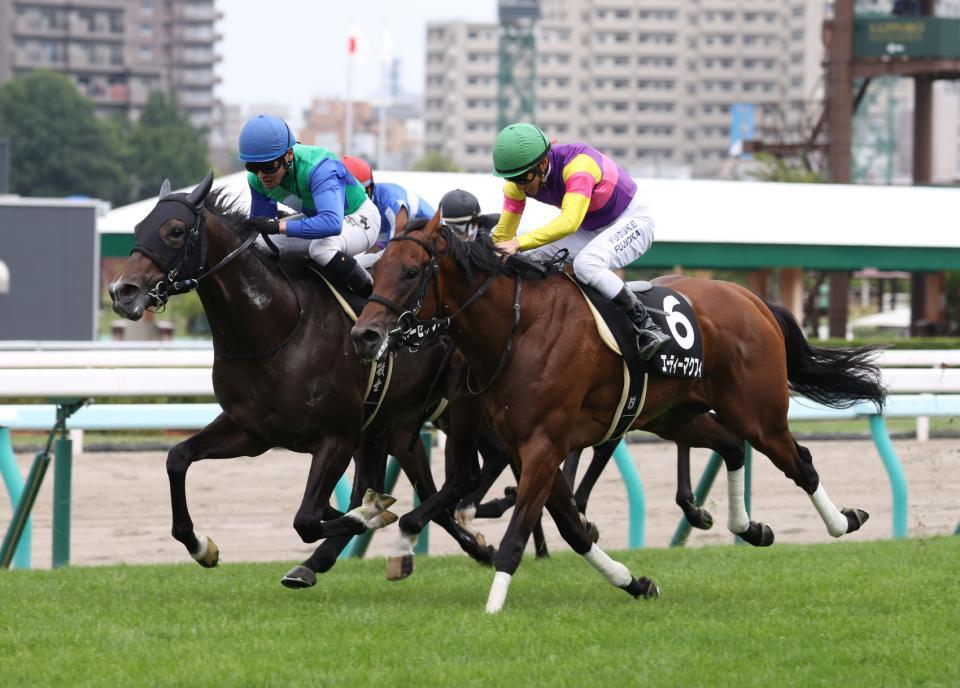 格上挑戦でコスモス賞を制したトーセンヴァンノ