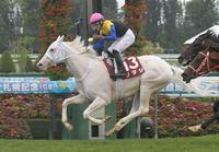 　札幌記念を制したソダシ（撮影・三好信也）