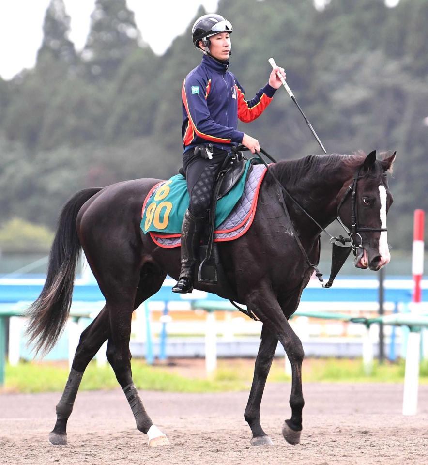 イクイノックス 460cc DR適応サイズ 競走馬 こし ゴルフ