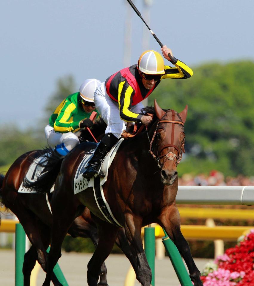 　圧倒的な強さで２冠を制したドゥラメンテ＝２０１５年５月３１日、東京競馬場