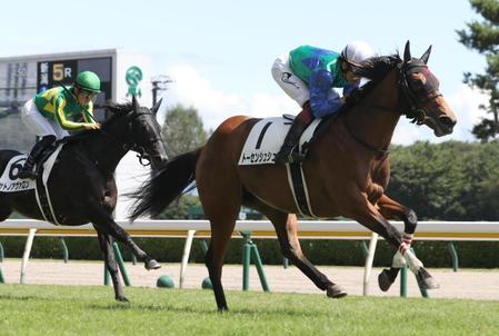 　サトノアヴァロンを交わしたトーセンシュシュ（右）