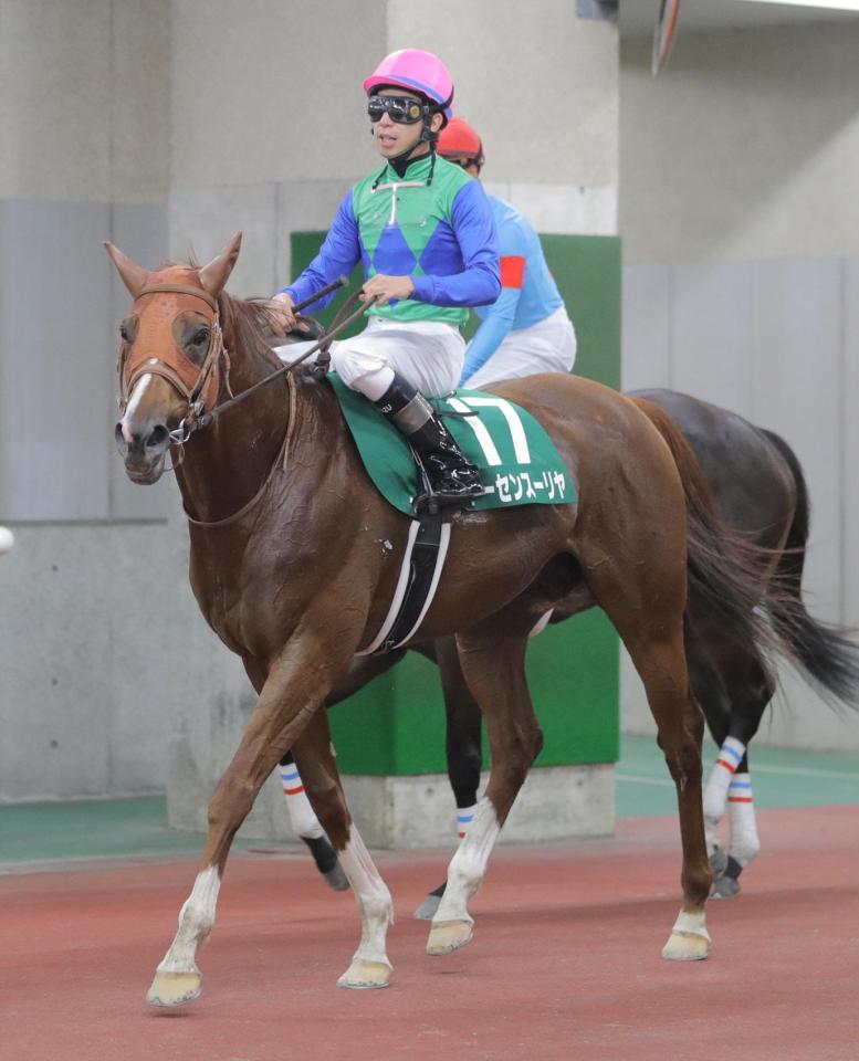 　新潟記念で２着に敗れるもサマー２０００シリーズで優勝したトーセンスーリヤ