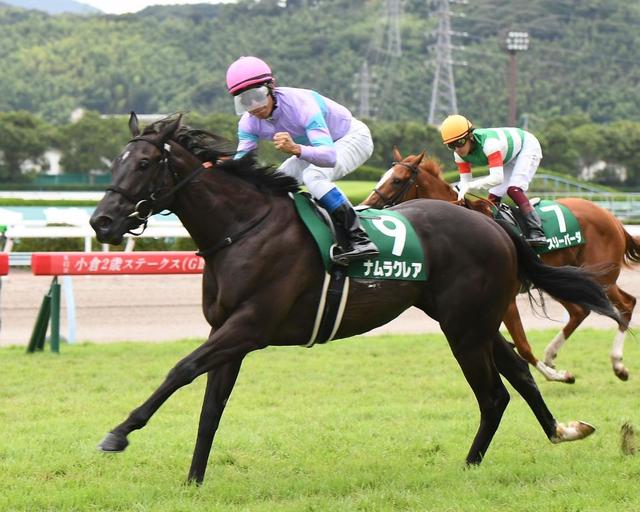 【POG】ドウデュースはアイビーSへ(栗東発)