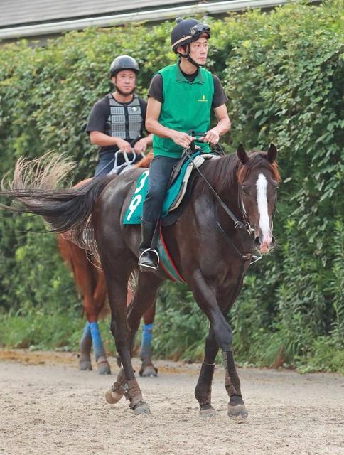 【ＰＯＧ】ソクラテス　厩舎ゆかりの良血いざ初陣　スケール大きい推定５００キロ好馬体