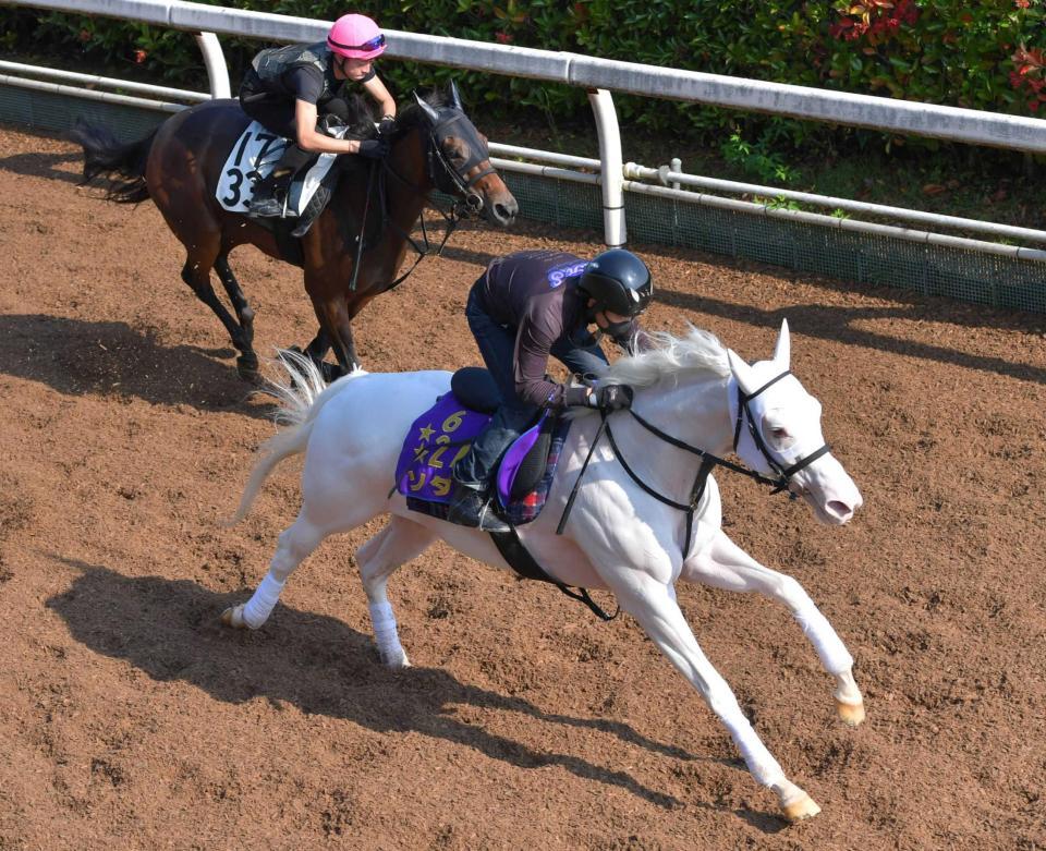 　難なく先着したソダシ（手前）＝撮影・石湯恒介