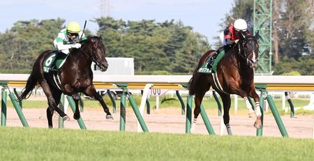 新潟２歳Sを制したセリフォス（→）は朝日杯ＦＳが今年の最大目標