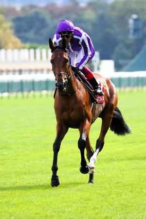 　ディープインパクト産駒として注目を集めるスノーフォール（ｃ）Ｓｃｏｏｐｄｙｇａ