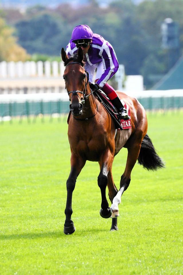 　ディープインパクト産駒として注目を集めるスノーフォール（ｃ）Ｓｃｏｏｐｄｙｇａ